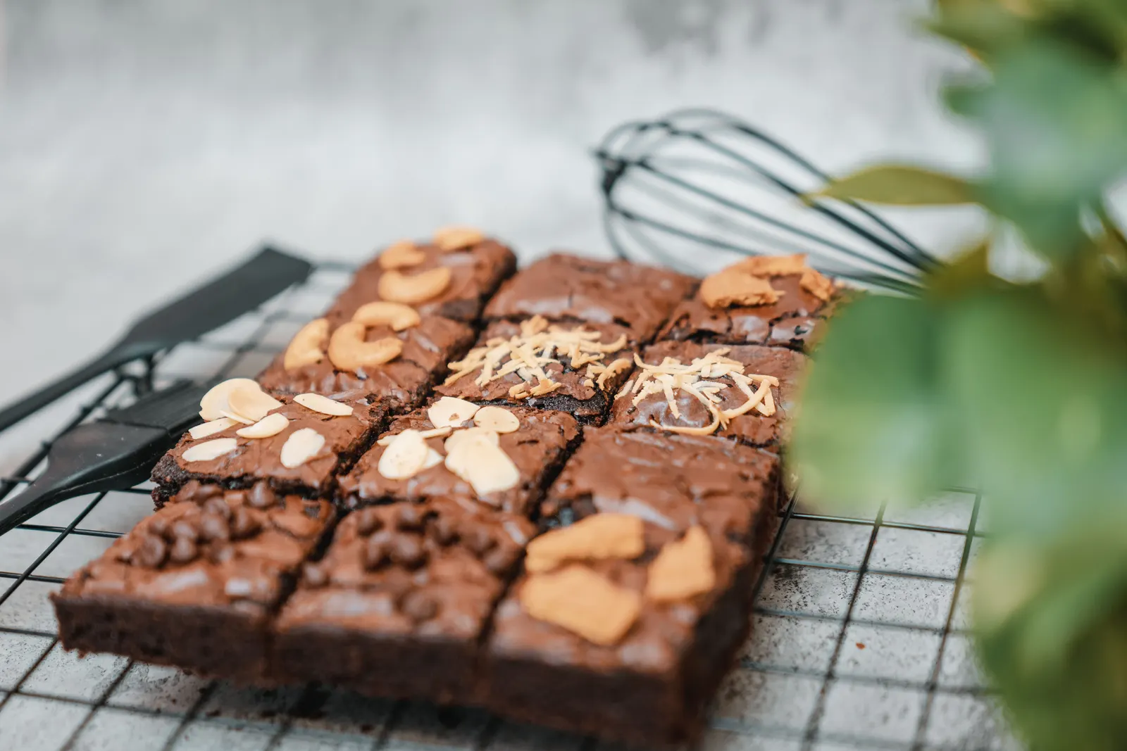 Chocolate brownies topped with nuts, cooling on a wire rack