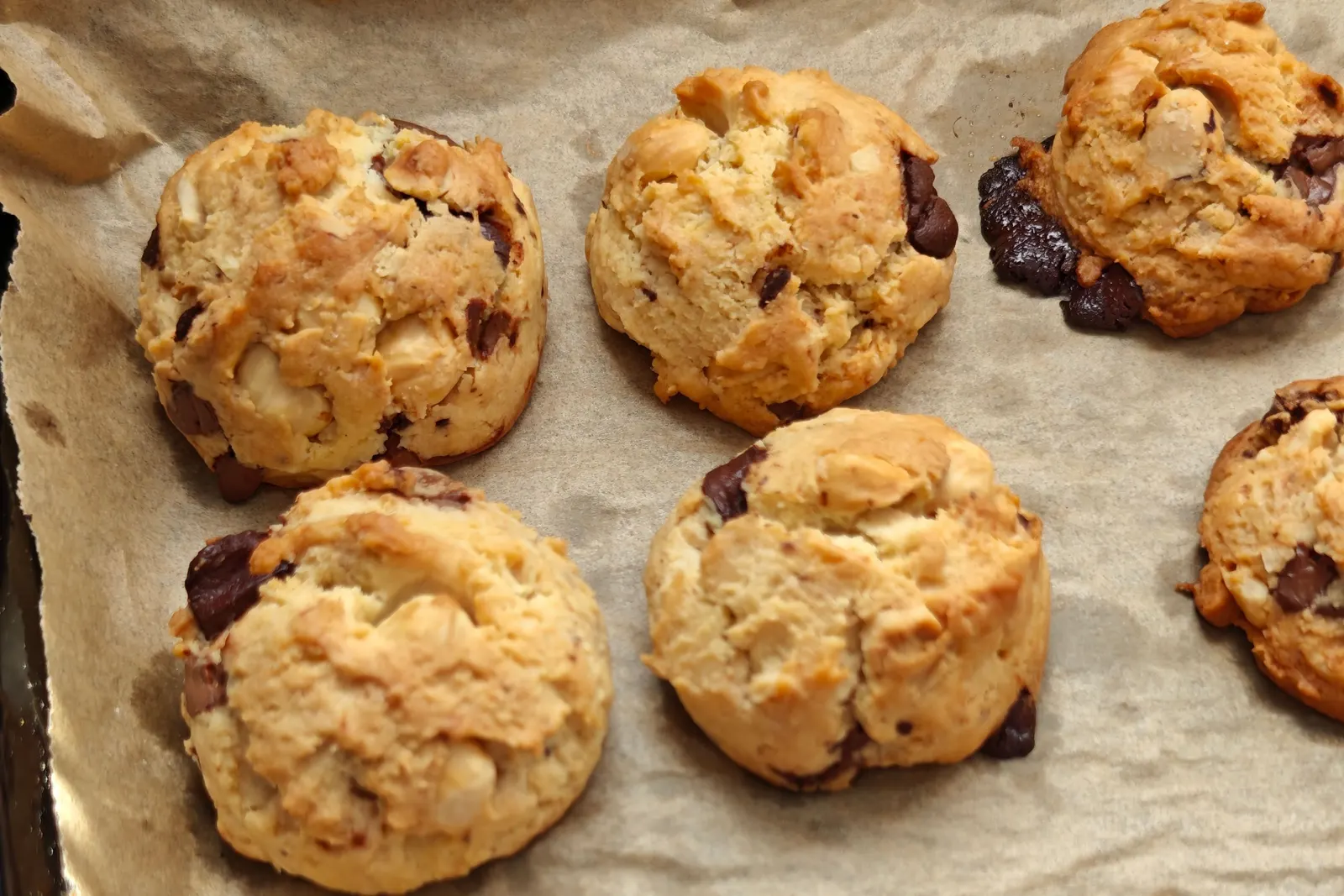 Freshly baked chocolate chip cookies cooling on a baking tray
