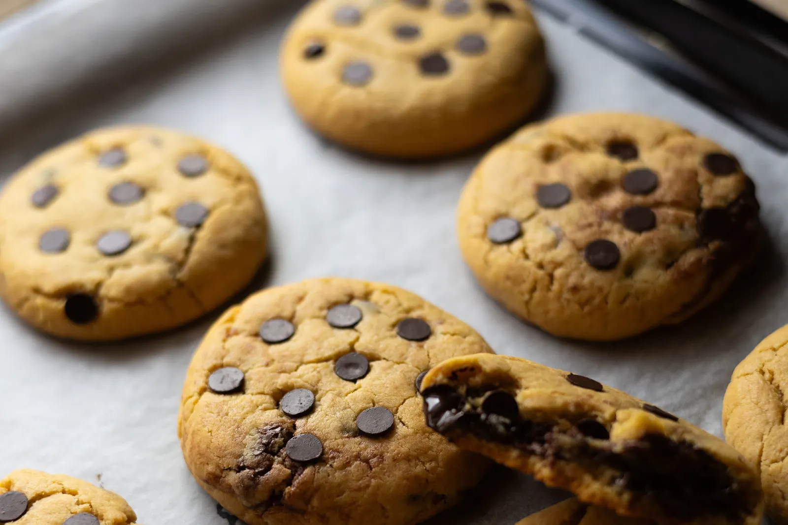 Homemade chocolate chip cookies fresh from the oven on a baking tray